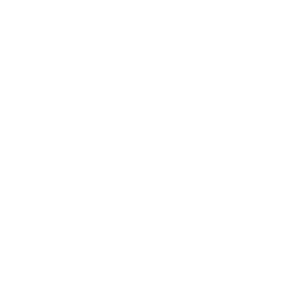 BG Cornhole